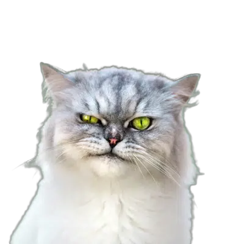 The same cat after background removal, with fur colour and green eyes unchanged and the background transparent